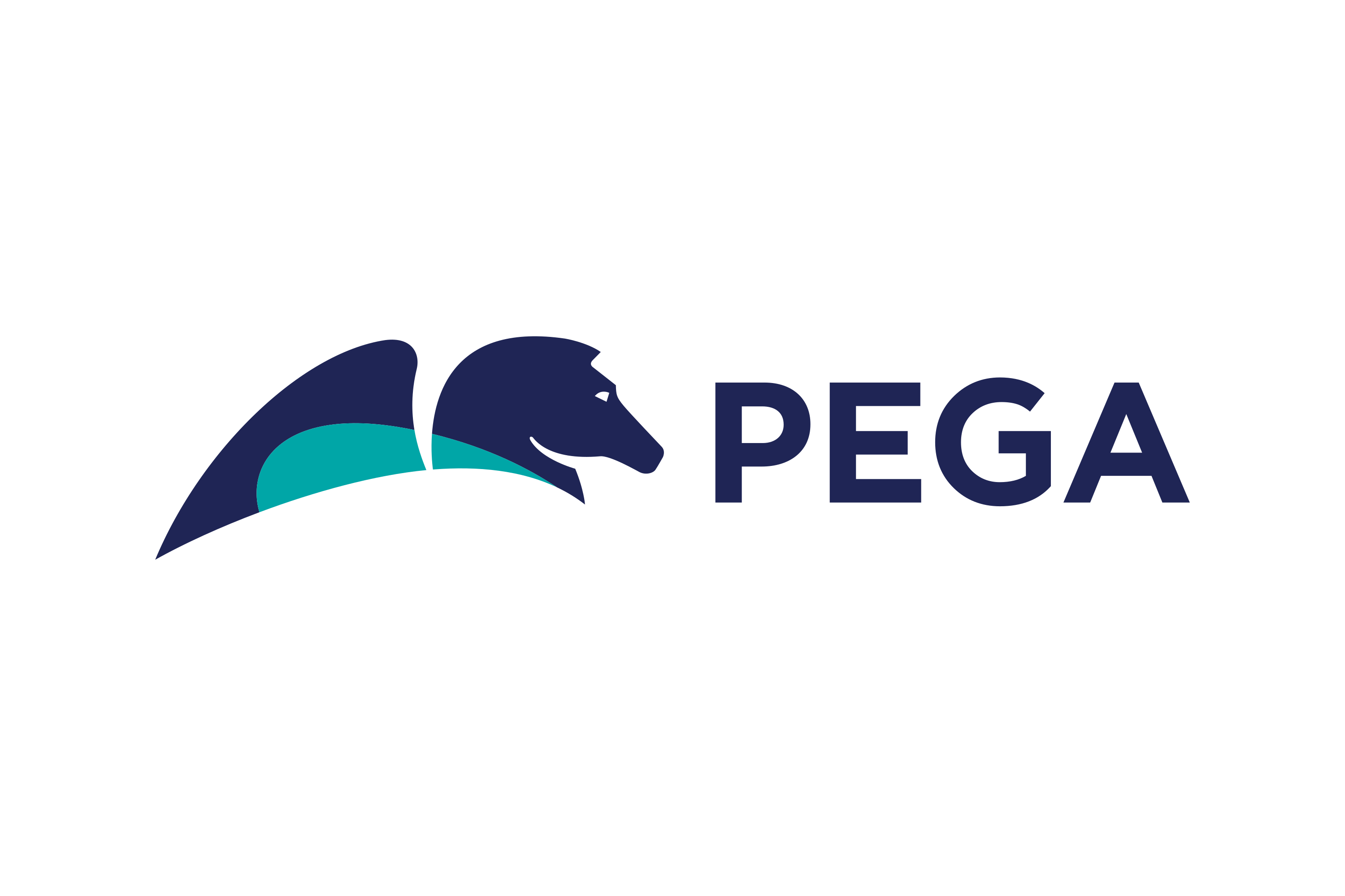 Software - Pega